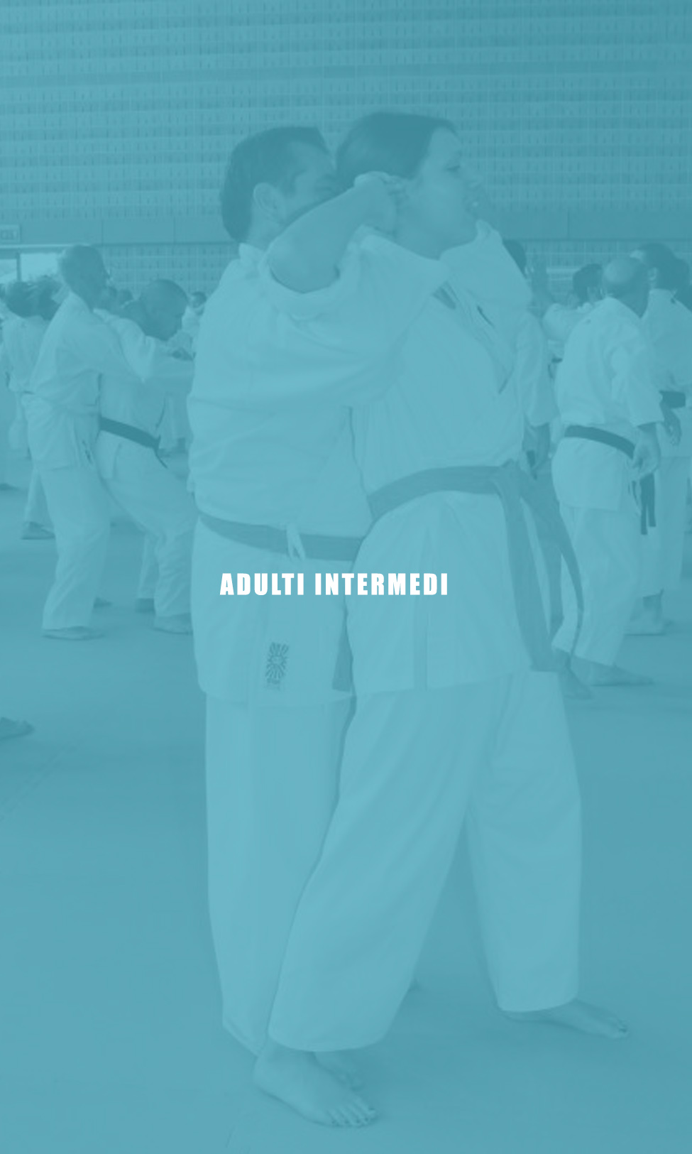 Corso adulti intermedi
